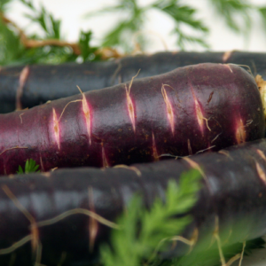 Ingrediente Luque: carota nera